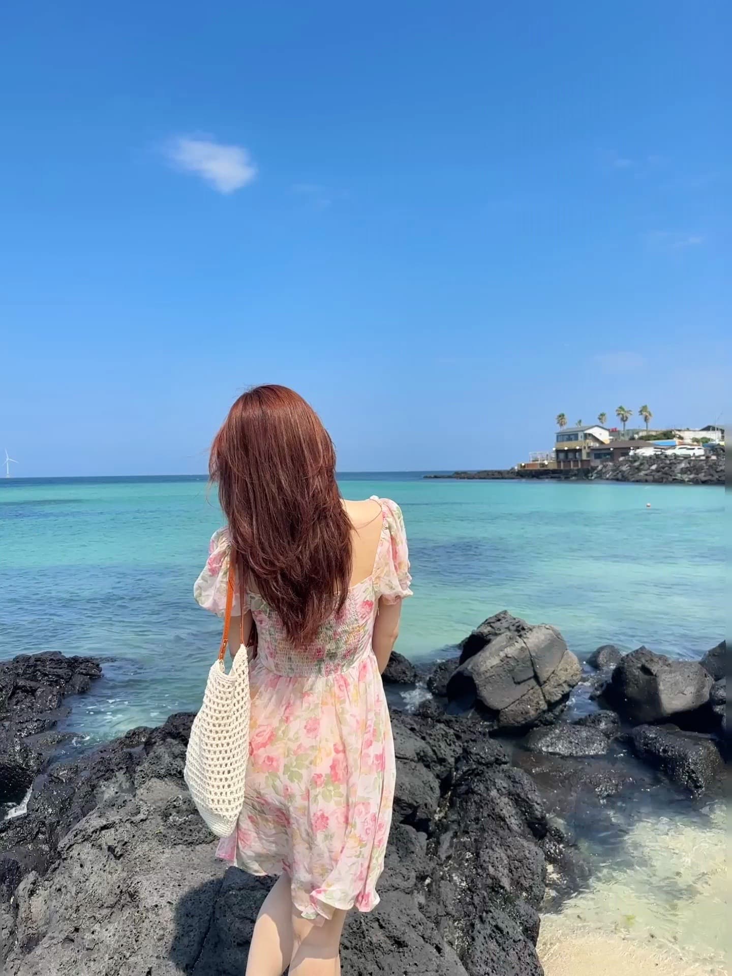 제주 이미지 14