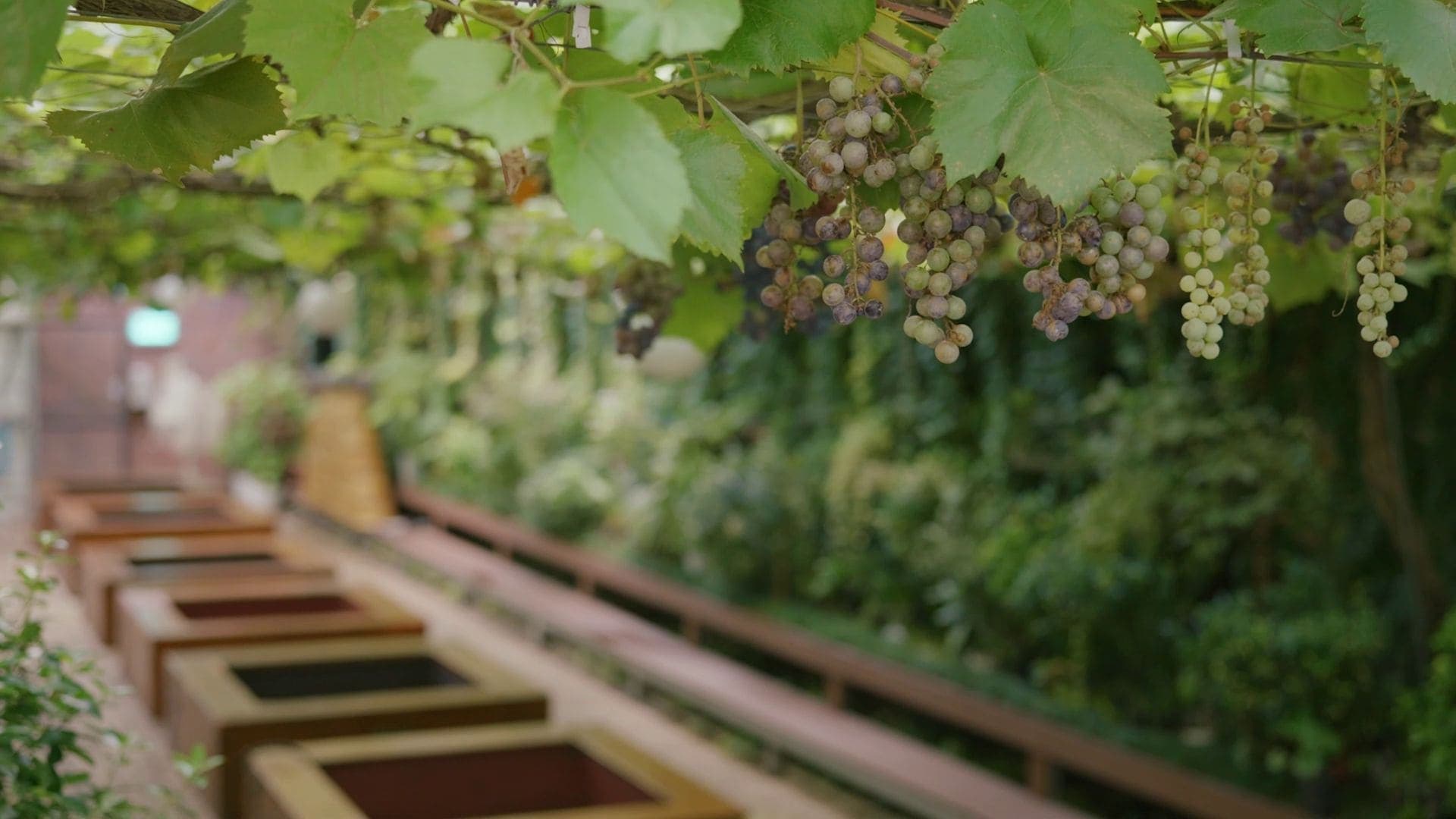 와인코리아 이미지 8