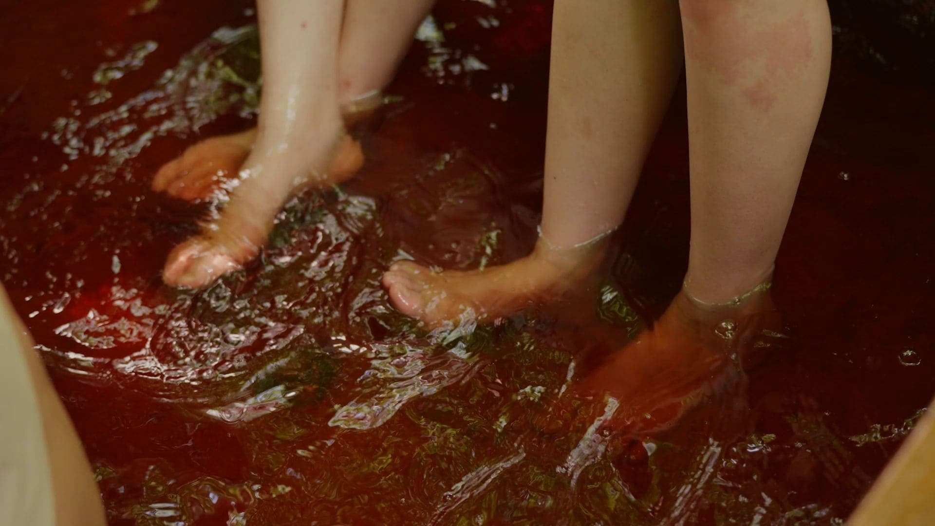 와인코리아 이미지 9